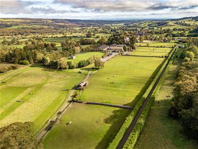 Click to view more details